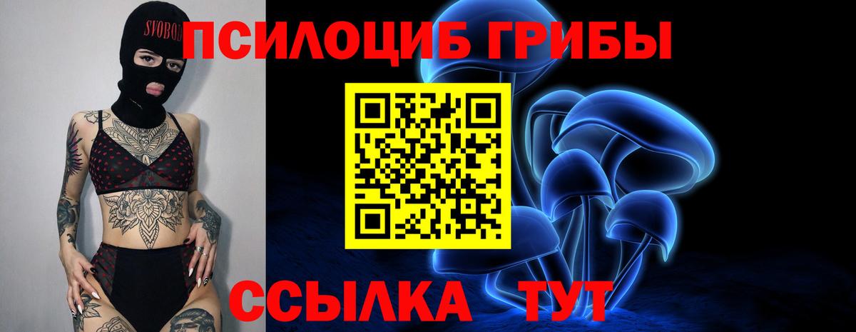 Псилоцибиновые грибы мицелий  Вход с VPN  Новоалтайск 